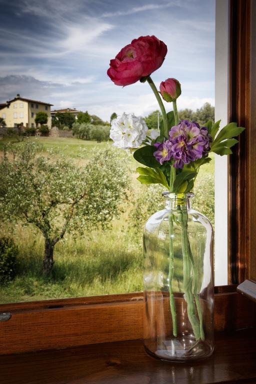 Agriturismo Ai Linchi Lucca Ngoại thất bức ảnh