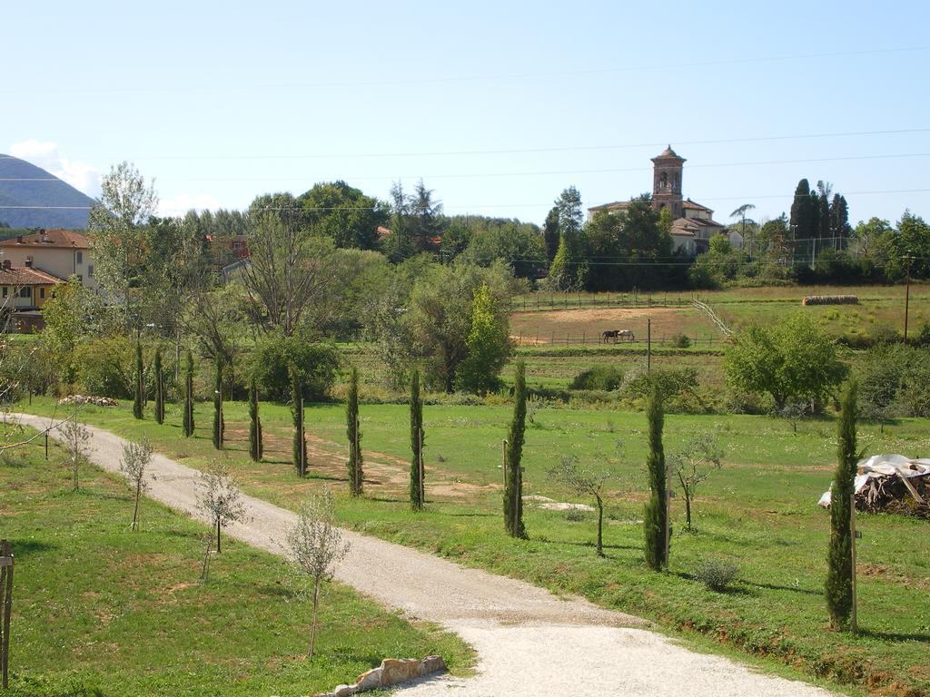Agriturismo Ai Linchi Lucca Ngoại thất bức ảnh